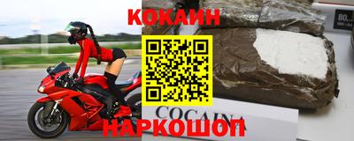 гашик Донской