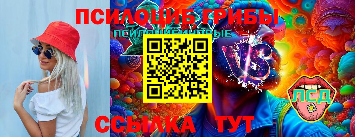 Псилоцибиновые грибы прущие грибы Сальск